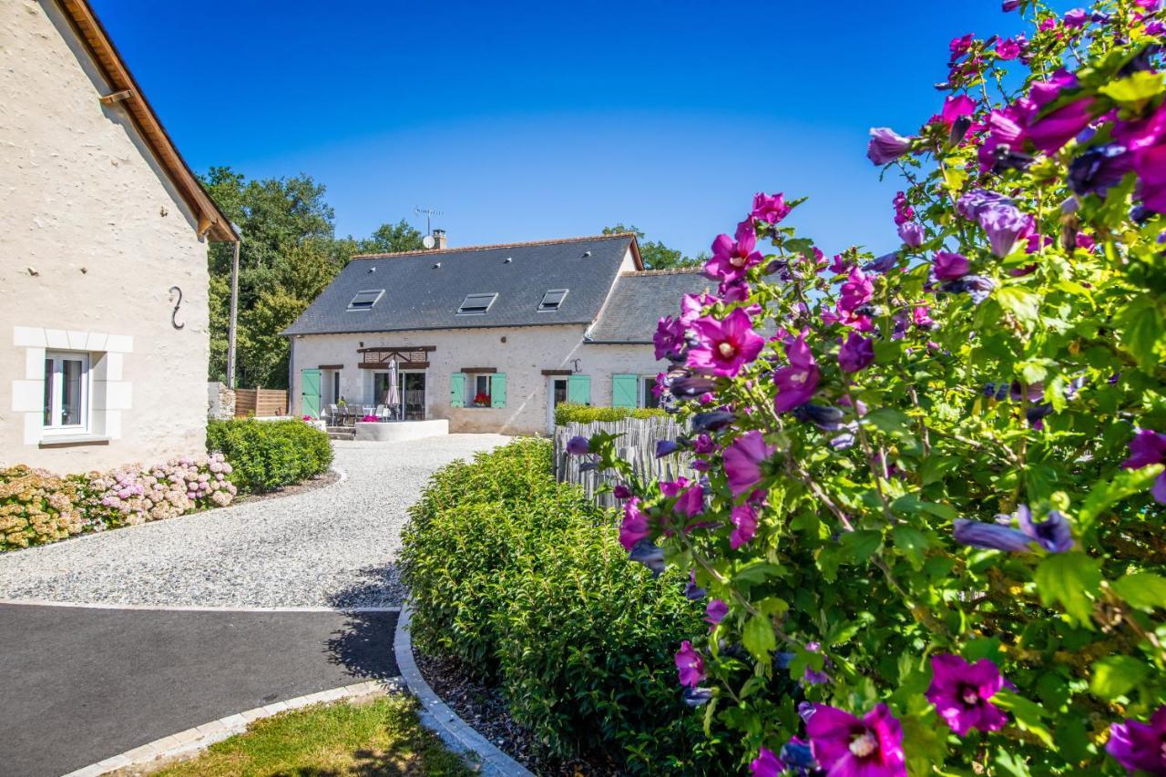 Bed and Breakfast Métairie du Villiers à Saint-Branchs Extérieur photo